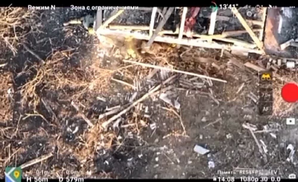 ���������� ����������� ���������������� ������� ���� ������ ��� � ������ �������