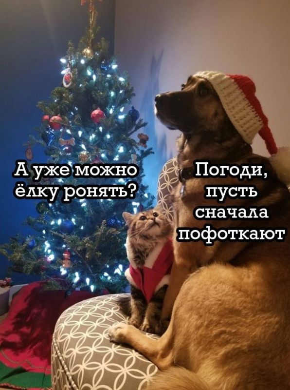 ���� �������� ����������, ������� ������!