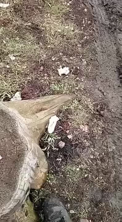� �� ������ � ������?. � ������ �������� ���... ������ ���������� ����� ������ ���������� �� ������. ��� ���� �� ���
