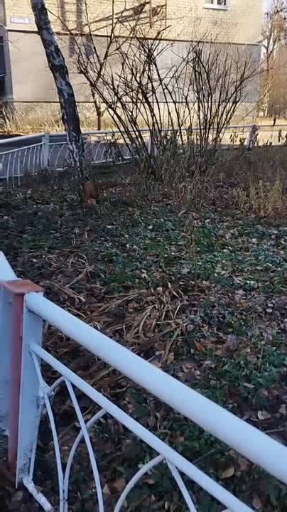 ����� �� ������� �� ������ ����������: