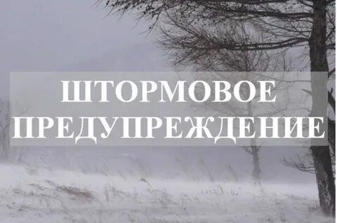 ��������� �������������� �� ��� ���