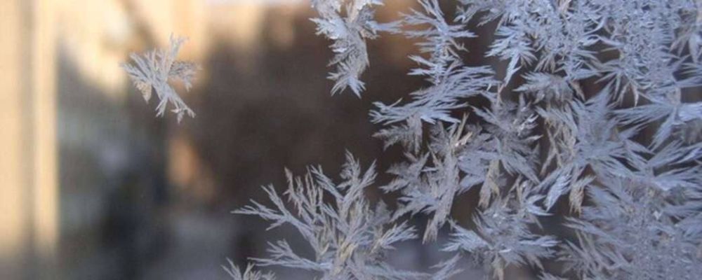 ��������� �������������� �� ��� ���: