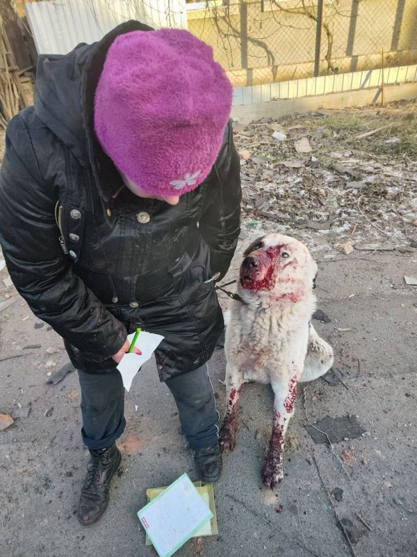 ������ �������: ������ ������������ �� ���� � ������� ���, �������� ������ ��������� ����������� ������ �������� ����������