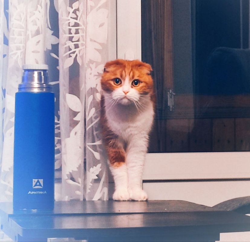 ��������� ����������: ������ � ������� - ��� ������ � �������� ���� ������� ����� �� ��������� ������������� ����.