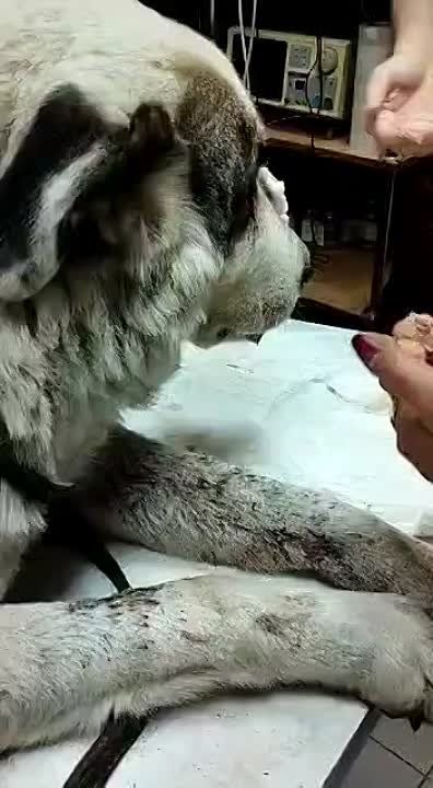 ������� �� ����(����� ����������� �������������� ���������� ������� �� ����� ��������������� �������� ���������� ������ �. ������� 10 ������ 2023)