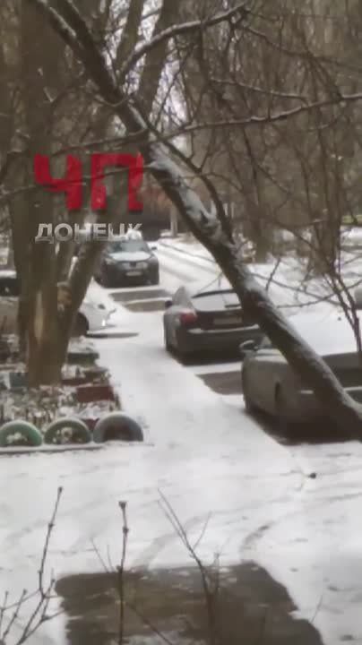 �������� ����������! ������, ����������� �����, ������ �� �������� �����, ��.