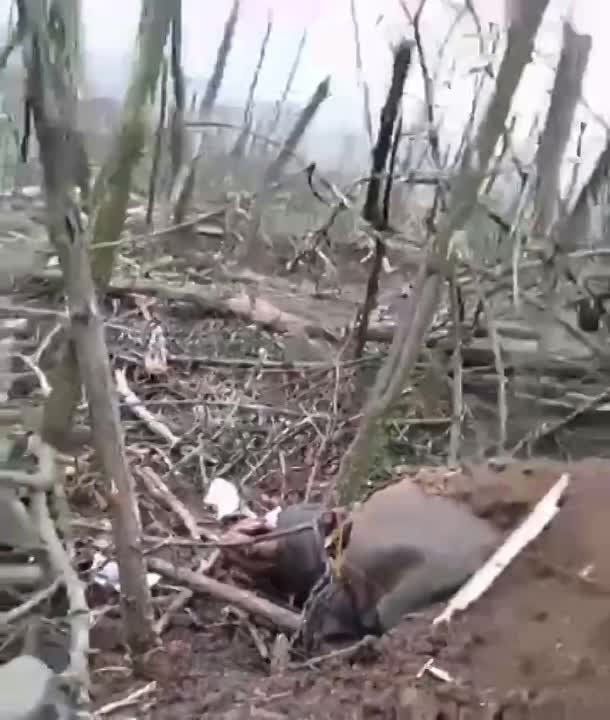 ������ �������: ����� 18++. ������ ���������� ������� ������ �������. ����� ������ ���� ��������� ������, ������� ��������� ����� ��� ����