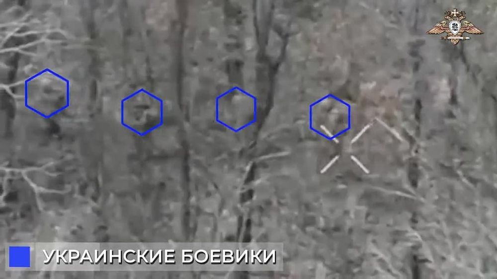 ���������� 3 ������� ������� ������ ���������� ��������