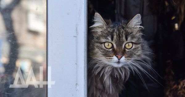 ��� �� ���� ������ ��������� ��������� ����������, ��������������� ��� �������