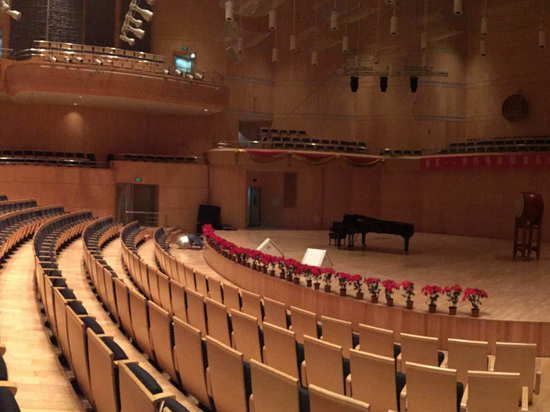 Новые онлайн-проекты запустят в Донецкой муздраме