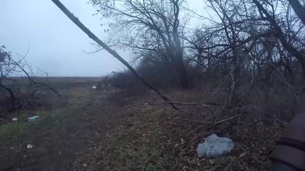 ��������� ������ ����� ��������