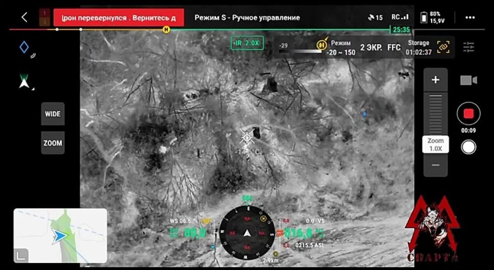 ��� ��� ��������: �������� ������� ����� ������ ���������� ���� ��� ������� Mavic