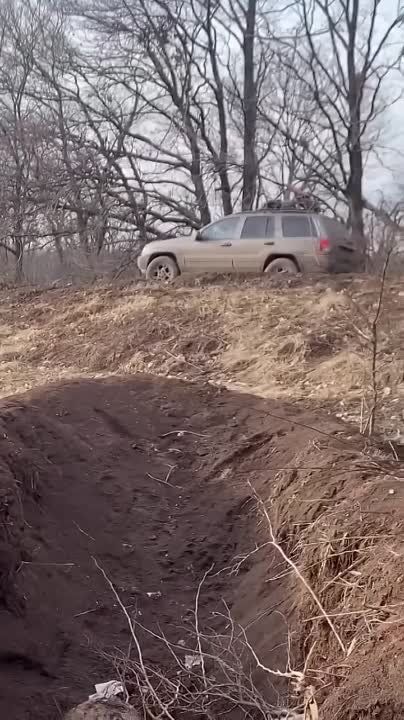 ������� ���������: ���������� ������� ������� ��� ����� ������������ ������� ����������� ��������� ��������������� Roshel Senator ���-�� ��� ��������