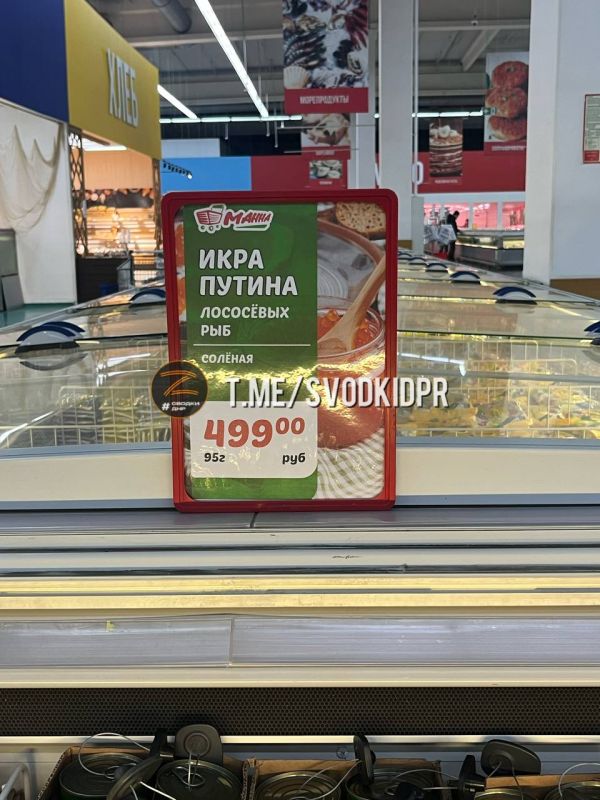 ���� ������, �����, ������