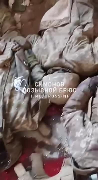��������� ��������� ������ ������� ��� � ������� ���� ������� ��� �������