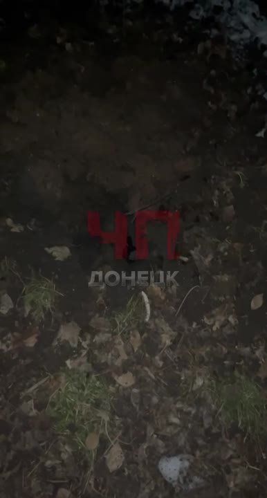 � ���������� ������ ������� ��������� ������ ���