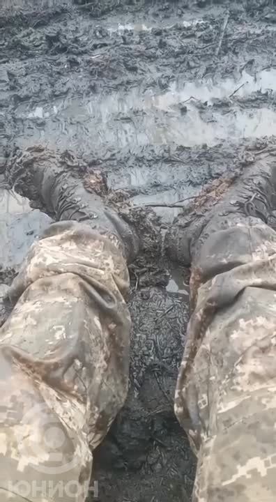 ������� ������ ������, ��� �� �������� ���� � ���������� ������� �� �������� �����