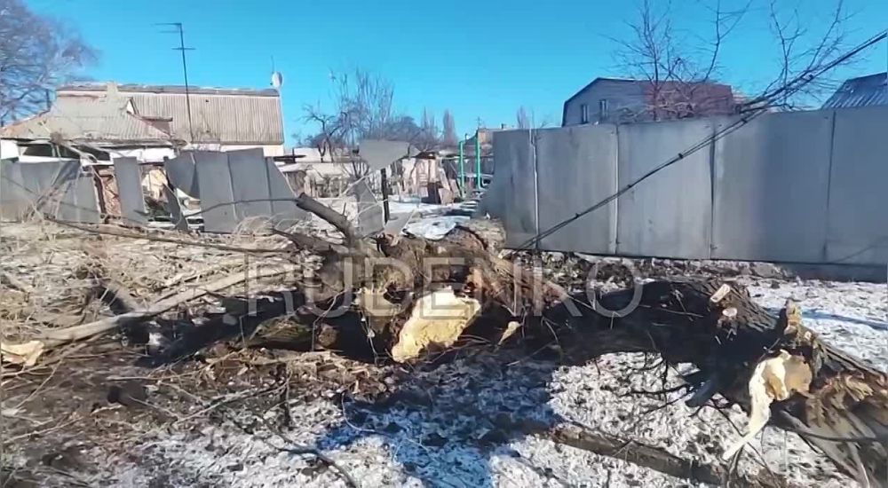 ������ �������: �������� �� ��, ��� ���� ��� ����� ���������� ��� ������ ��������� � ������� ����� ��������� �������, ��� �� ���������� �������������� �� ������� ��������