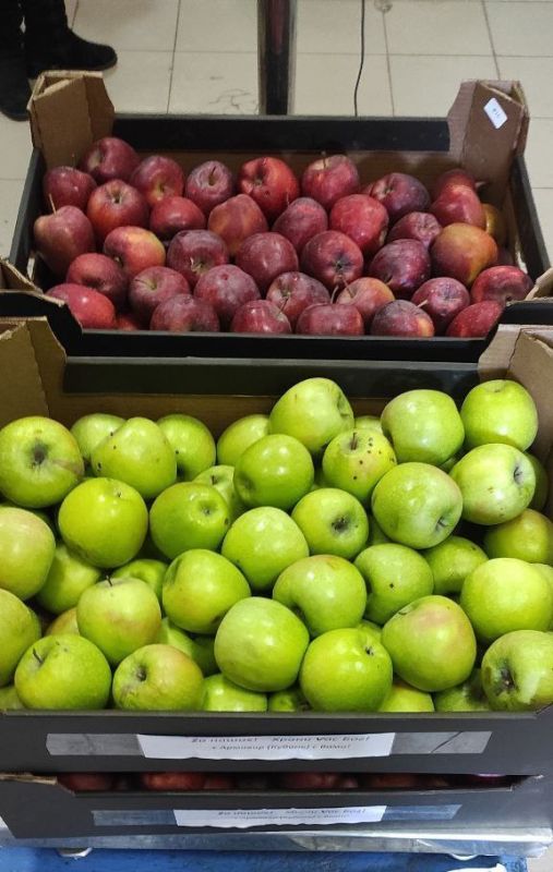 ������� ������: ����� ������������� �������� "�������� ����������", ���������� �����������, ����������...