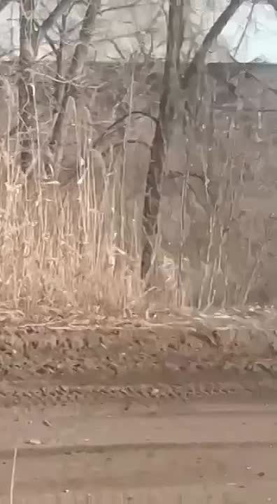 ������ �������: ��� ������� ����� ��� �������� ���������� ����� ������� ���� �������� �������, � ��������