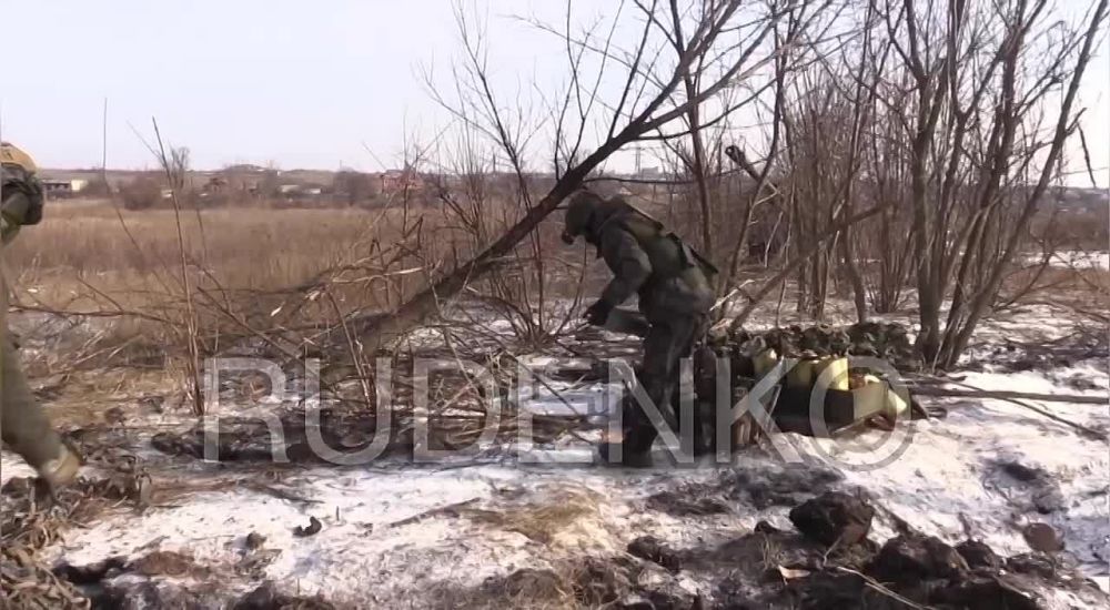 ������ �������: ������������ ������� ����� �� �������� ����������� �� �������� �����