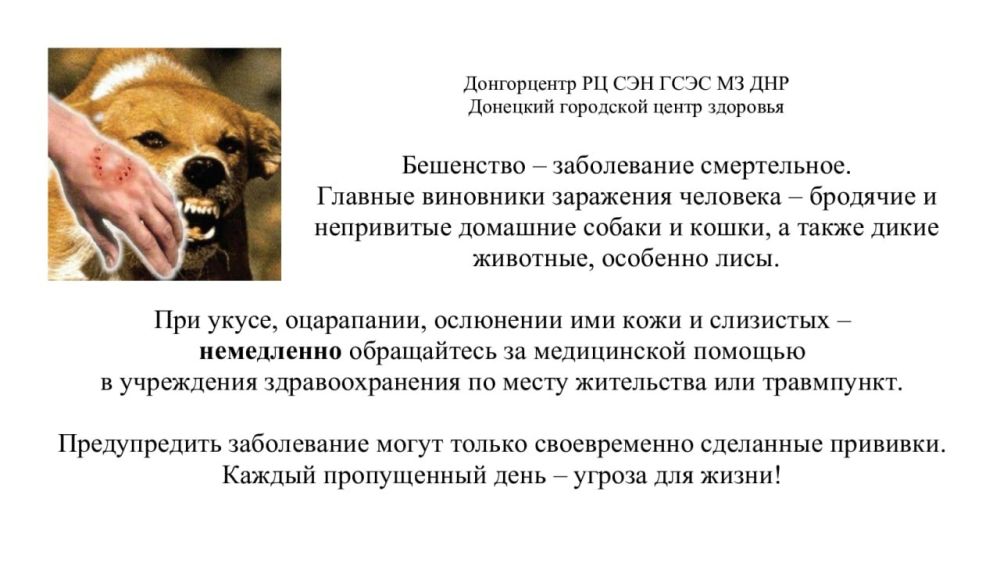 ������� ������: �������� ��������� ����� �������� ������������ ��������������� ����������� ?