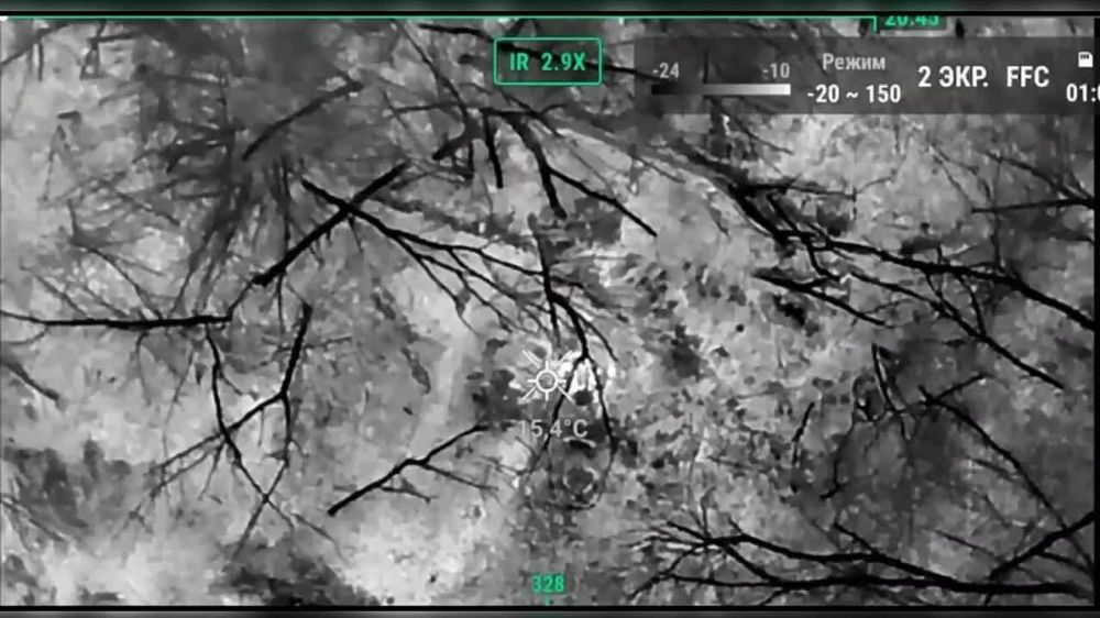 ������ �������: ������� �������� � ������ �������