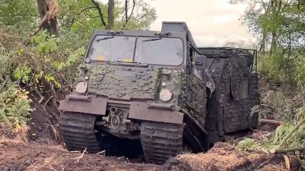 ���������� ��� MAMBA ARTHUR ���������� �����