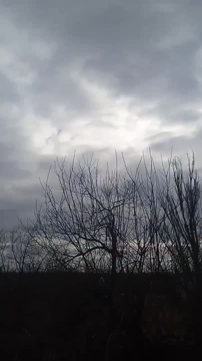 ������ �������: ������ �������� �� ����� ��������������� � ������ �������