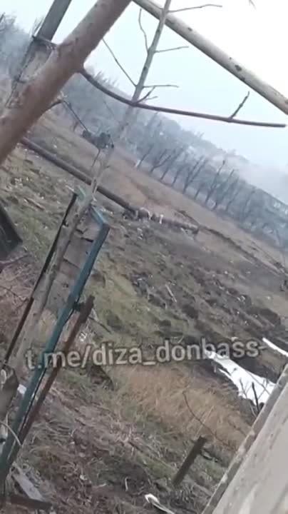 ����� �����: ������������� ���� � ��������