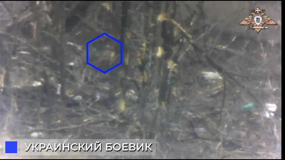 ����� �����: ����� ����������� ����������� ������� ��������� 132 �������