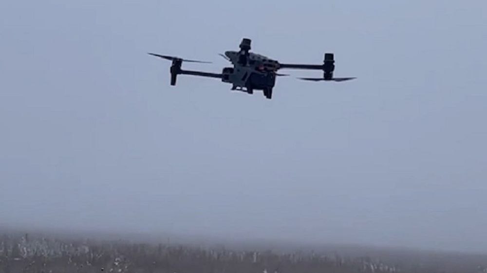 � ������� �������� ������ ��������� ��� ������������� �� 3D-��������