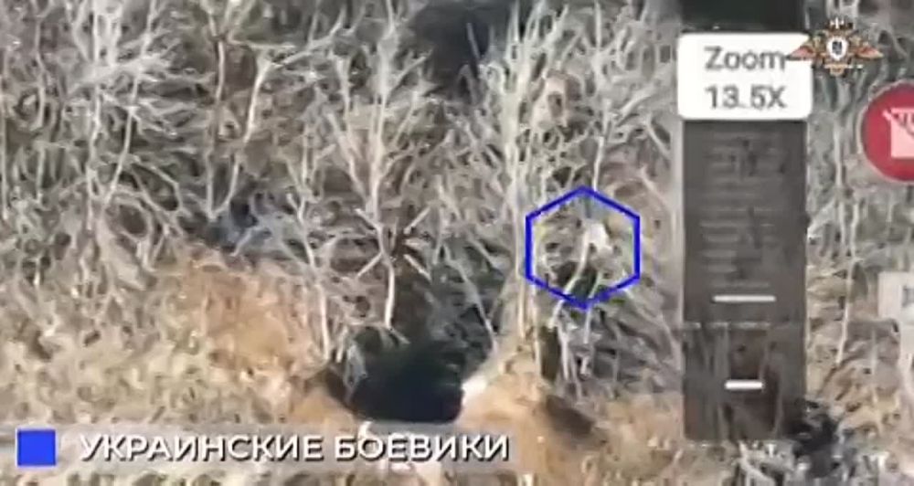 ����� �����: 132-� ������� ���������� ����� ���� �����