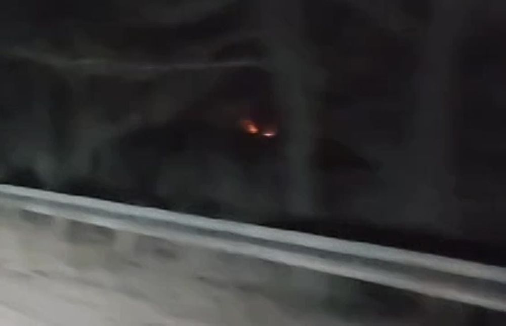 ������� �������: �������������� �����. ��� ������ ���. ��� ������ ����� - ���� � ������� �� ��������� �������������� ������ ����� ���������, ���������� � ��������. �� ����� �����