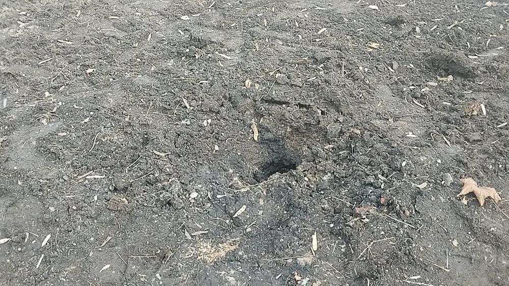 ���������� ������� ���������� ������� � ������ � ���������