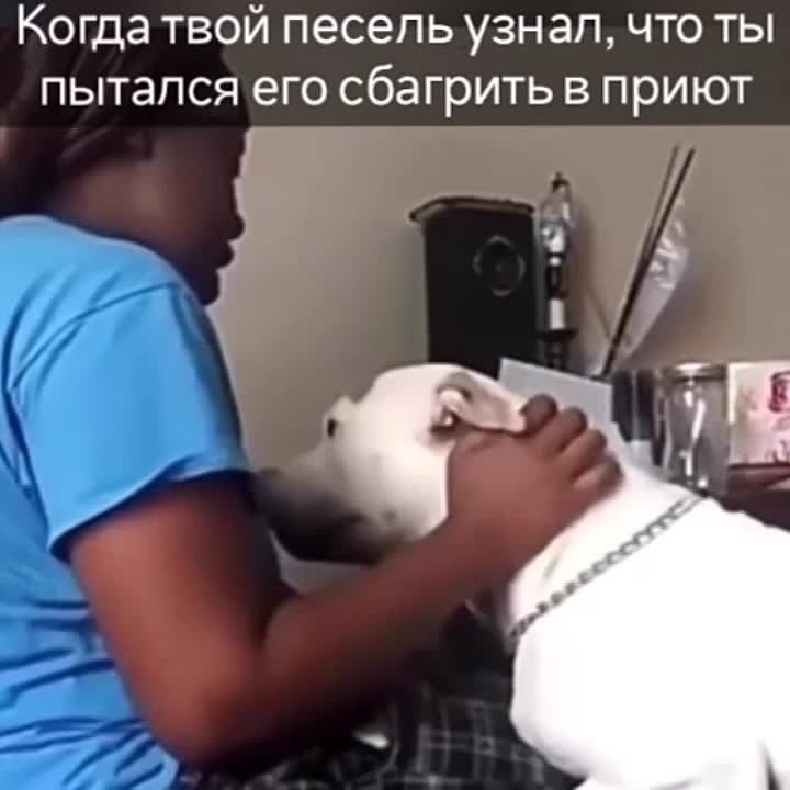 � ������� ������� ������ ������������� ����� ��� �������� �����