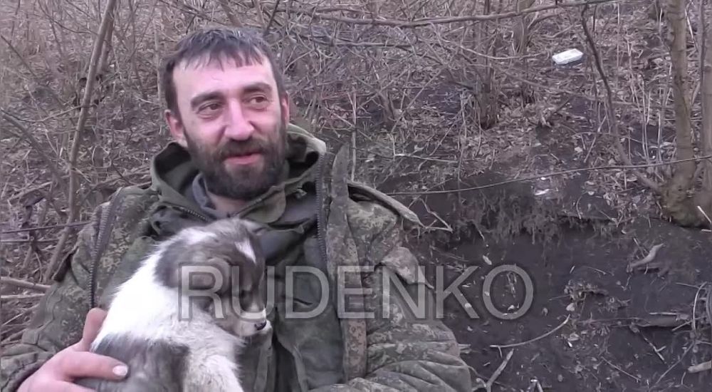 ������ �������: ���� � �������� ������� ������� ������