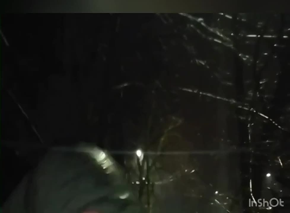 ��� � ����������. ���� ������������