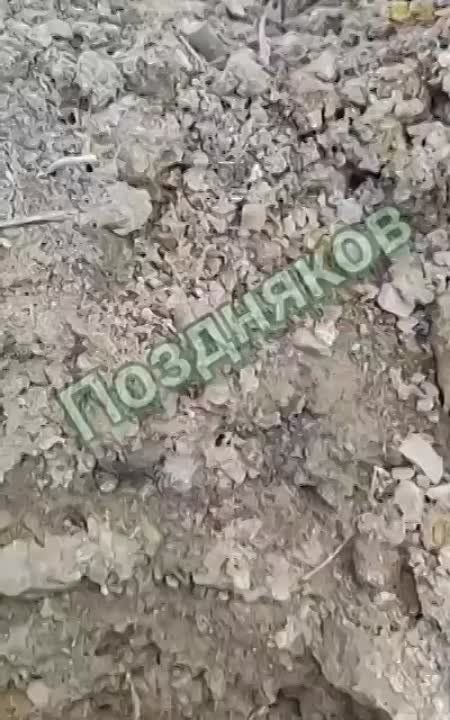 ����� ���������: �� �������� ����������� ������-����� ��� ���������� ����� �� ��������������, �� �� ��� �� ������ �������