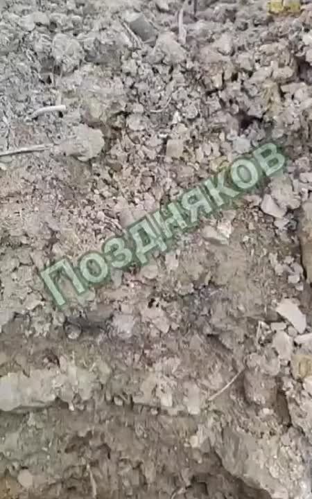 �� �������� ����������� ������-����� ��� ���������� ����� �� �������������� � �� ��, ��� �� ������ �������
