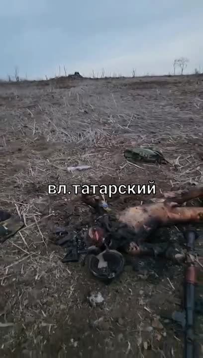 Владлен Татарский: Последствия атаки хохлов 15 марта на позиции 291-го полка