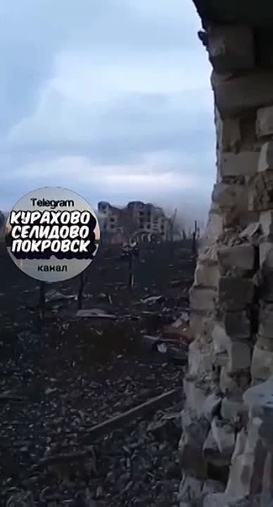��������. �� ���������� �����:
