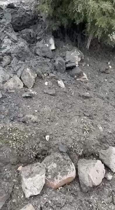 ���������� ������� ������� ����� �� ������� ���, � ��� ����� � �������� ����