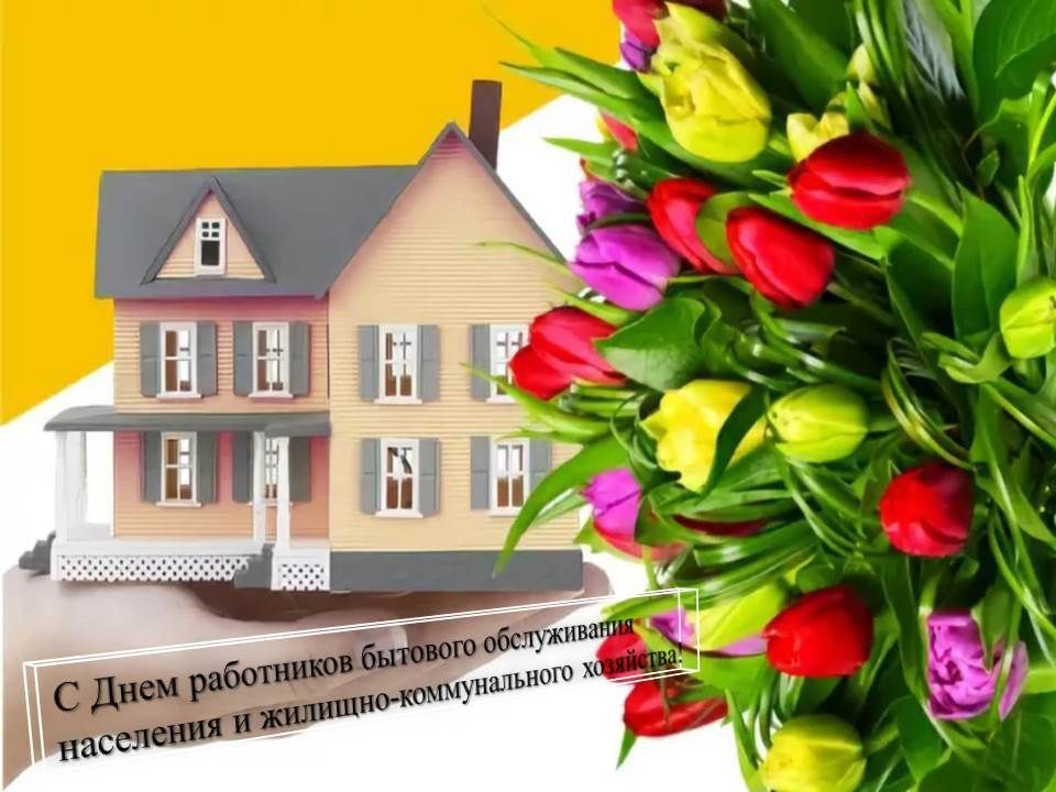 ����� ���������: