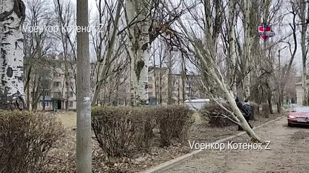 Юрий Котенок: Один день геноцида в Донецке