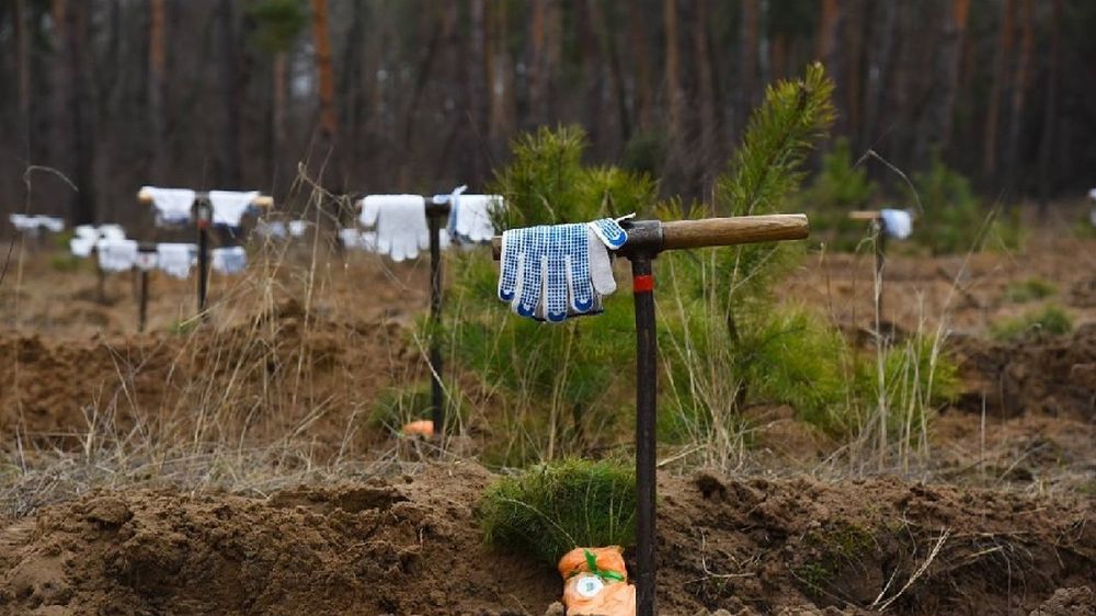 С 21 марта в ДНР стартует международная акция «Сад памяти»
