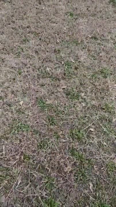 ������ �������: � ������ ������� ����� �������� �������-����� ���������� ���� �������� ���-1