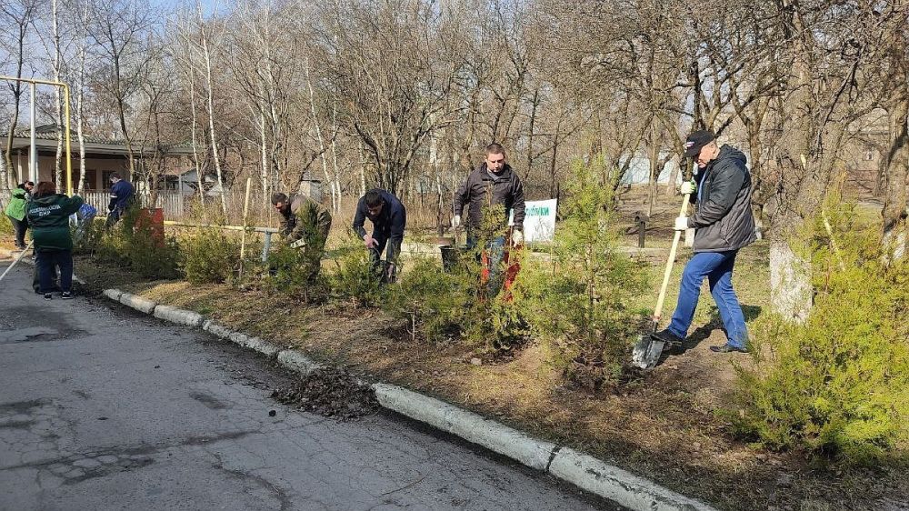 В ДНР высадили 30 саженцев туи в рамках проекта «Сад победы»