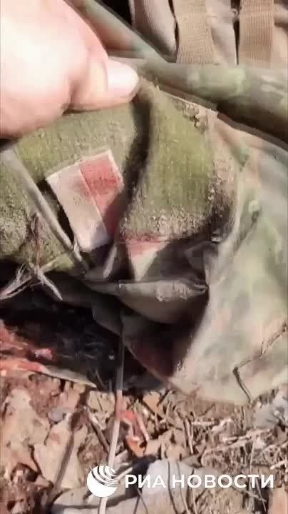 � ���� �� �������� ��� �������� ���������� ������ ��������, �� ����� ������� ���� �������� � ���������� �������