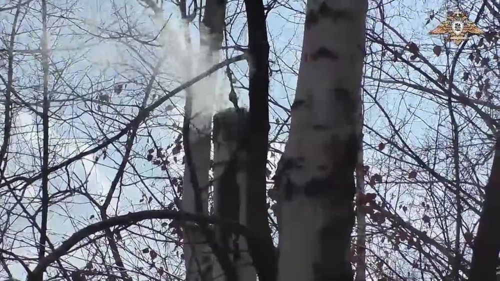 ����� �����: ������ ������������� 132 �������������� ������� �� �� �� �����������-�����������